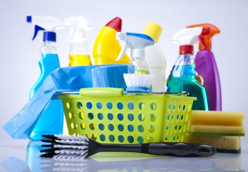 Professional cleaning company in Islington servicing a modern home