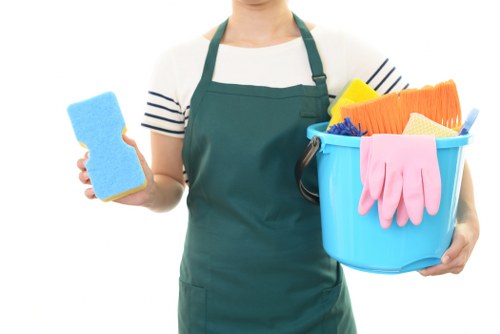 Professional oven cleaning in an Islington kitchen