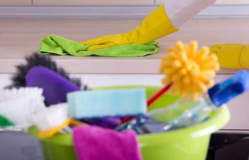 Professional one off cleaning service in an Islington home