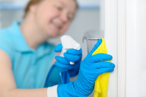 Secure online payment for Islington Cleaner with protected checkout