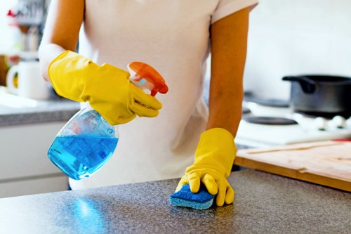 Regular house cleaning in an Islington living room