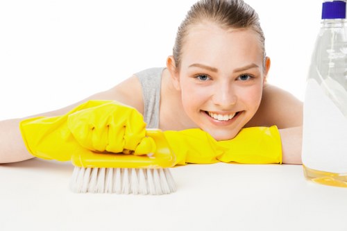 Accessible request support section for Islington Cleaner users