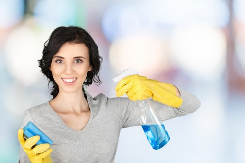 Professional cleaner working in a home interior