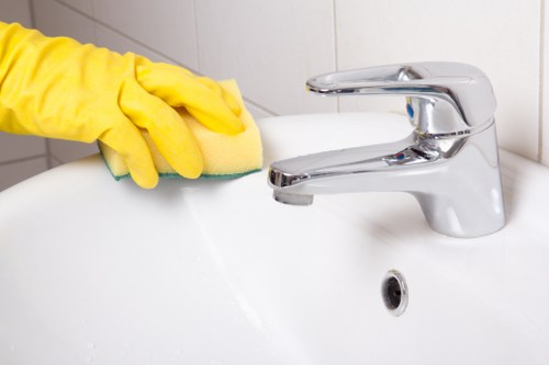 Cleaner completing a final quality check after service