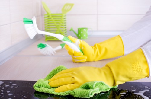 Recycling and sorting items during house clearance in Islington