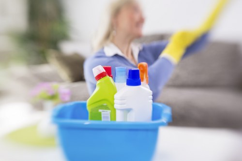 Local home cleaners in Islington preparing a spotless bathroom