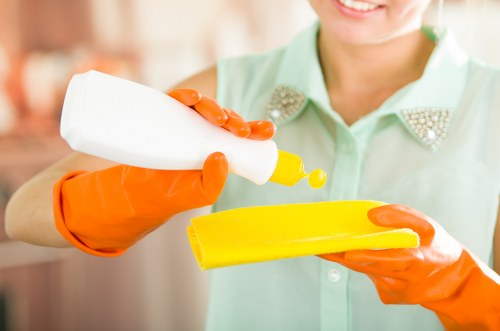 Insured cleaning professional working carefully in a property