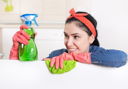 Detailed kitchen and bathroom cleaning during a one off clean