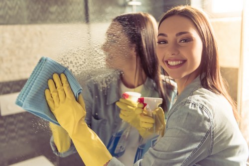 Detailed bathroom cleaning in an Islington home